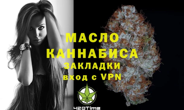 индика Балабаново
