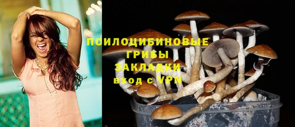 индика Балабаново