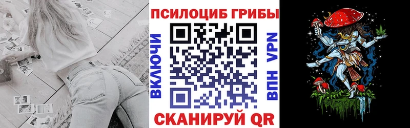Псилоцибиновые грибы GOLDEN TEACHER  Купить закладки  Волосово 